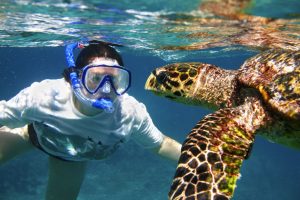 Snorkeling Koh Tao Island