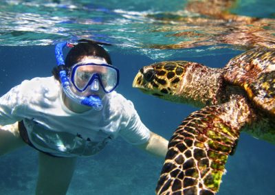 Snorkeling Koh Tao Island