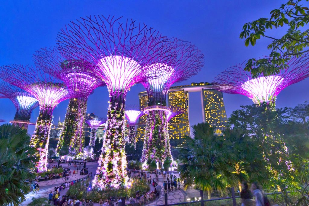 supertree-grove-singapore-gardens-by-the-bay