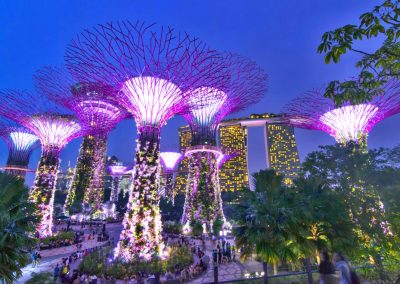 supertree-grove-singapore-gardens-by-the-bay